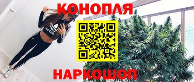шишки Усть-Илимск